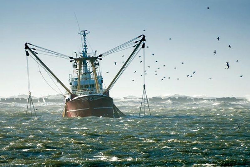 ارزش صادراتی ۳۲۰ میلیون دلاری آبزیان در ۱۰ ماه