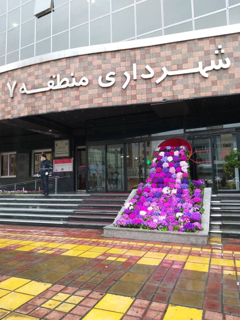 کاشت ۱۸ هزار و ۶۷۵ اصله نهال در سطح منطقه ۷