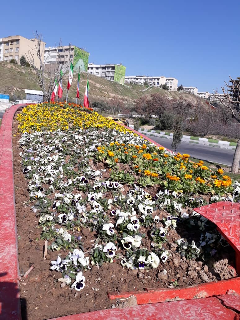 قلب پایتخت با فرش‌هایی از گل به استقبال بهار می‌رود