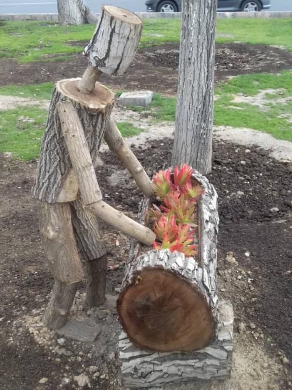 تنه درختان خطرآفرین و رفع خطرشده در شمال تهران گلجای زینتی شدند