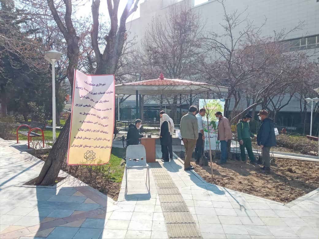 توزیع و غرس ۱۲ هزار نهال در شمال تهران آغاز شد