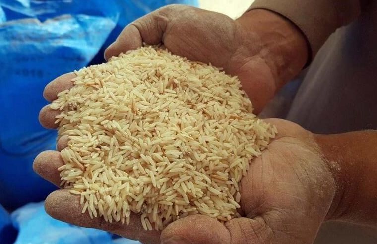 وزارت صنعت خواستار افزایش تولید و عرضه ارزاق عمومی شد