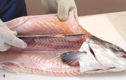 ظرفیت تولید ماهی در استان سمنان به ۱۶۰۰ تن رسید