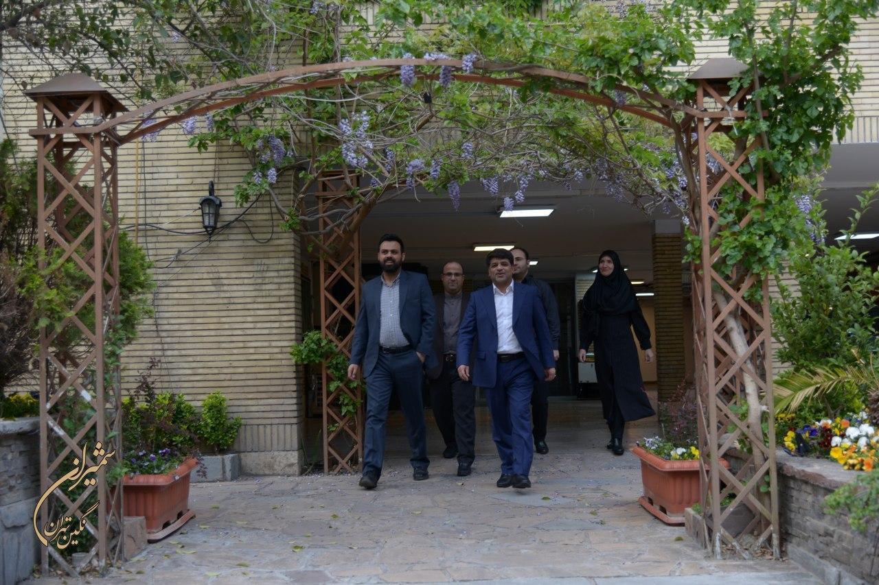 نم جوی سبب ریزش دیوار کاخ سعدآباد شد