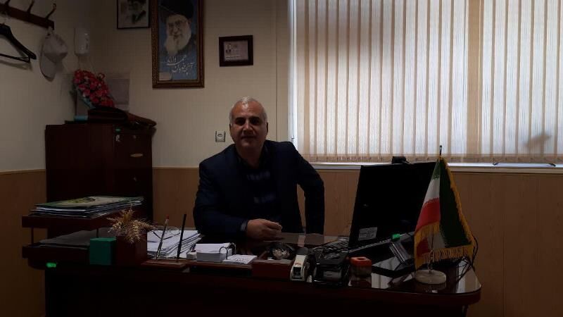 اتمام نشاء کاری ۶۵ درصد از شالیزار های رضوانشهر