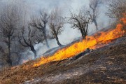 مرگ ۳ نفر در جریان اطفای آتش‌ “بوزین و مره‌خیل”