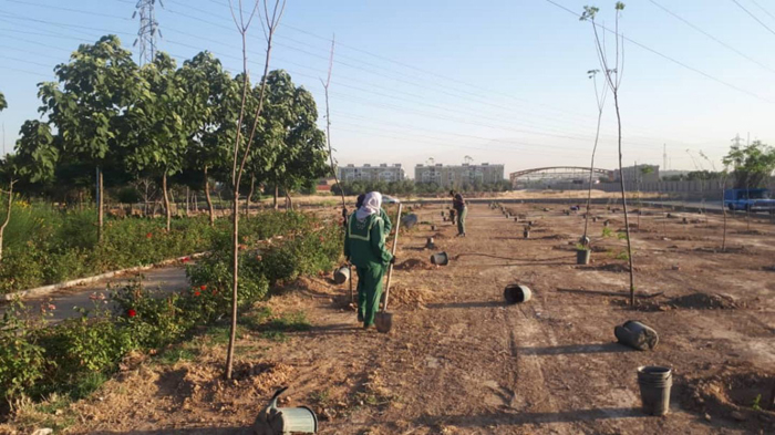 بهسازی و زیباسازی بزرگراه امام علی (ع)