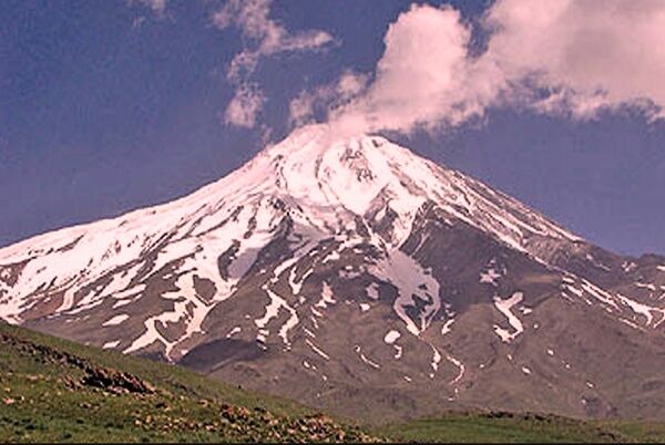 کوه و جنگل وقف نمی‌شوند