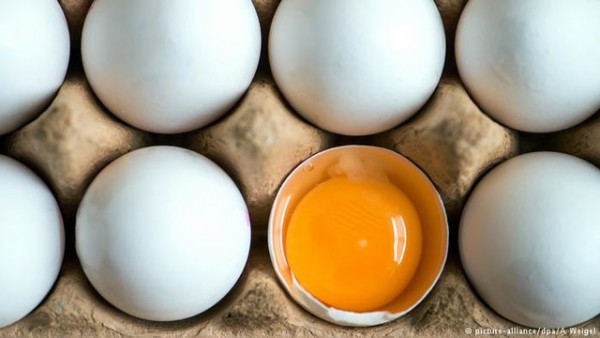 کاهش قیمت موز و تخم مرغ در فروردین ۱۴۰۰