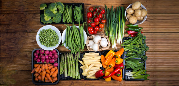 صادرات ۴ محصول صیفی تا اطلاع ثانوی ممنوع شد