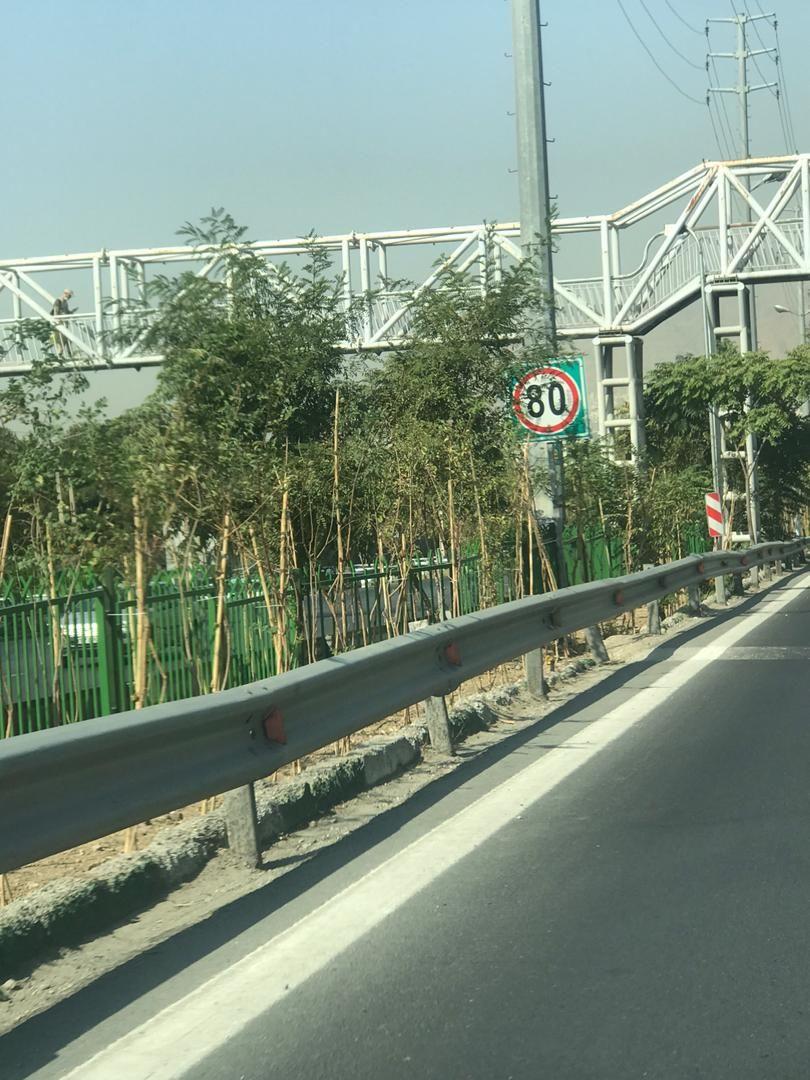 توسعه فضاهای سبز شهری با مشارکت شهروندان شمال تهران