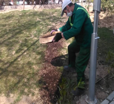 آغاز عملیات واکاری چمن در سطح منطقه 7