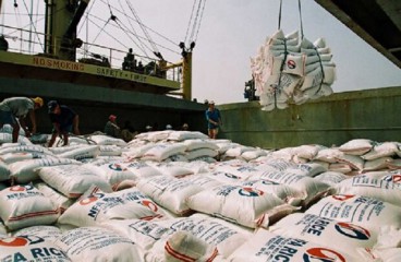 هند؛ بزرگترین وارد کننده برنج به ایران