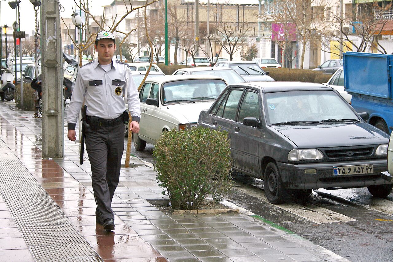 ۷۰۰ موسسه حفاظتی – مراقبتی عهده‌دار امنیت محلات کشور هستند