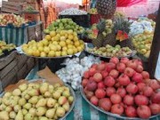 آخرین قیمت‌ها از بازار میوه