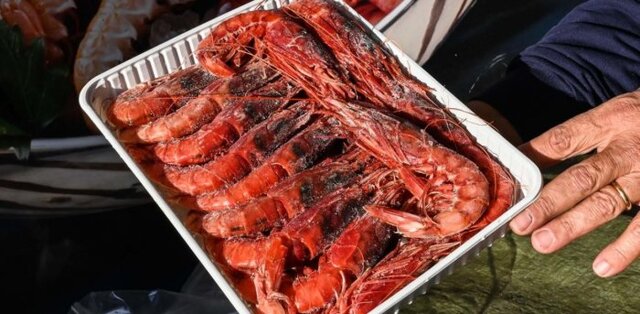 صادرات ۱۵۰ میلیون دلاری میگوی پرورشی در سال جاری