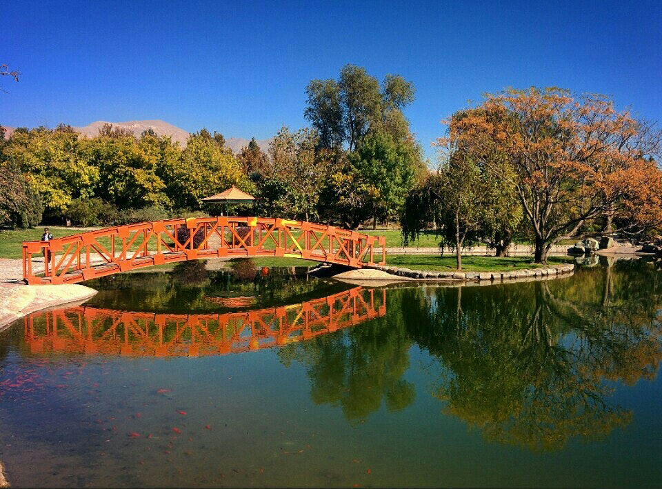 باغ راه طبیعت در معابر منطقه 7 احداث می‌شود