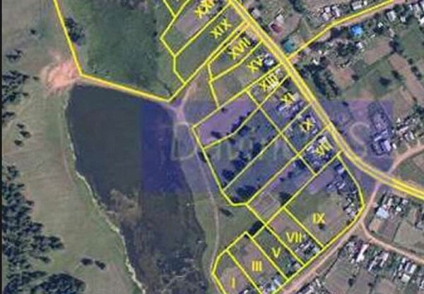 پیش بینی اتمام کاداستر اراضی کشور در ۶ماه نخست سال ۱۴۰۰