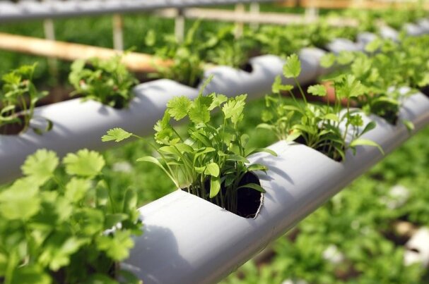 مرجع رسمی حساب‌های ملی و رشد اقتصادی فقط مرکز آمار ایران است