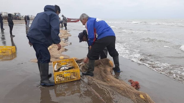 ۴۹۰ میلیارد برای ساخت بنادر جدید ماهیگیری در جنوب اختصاص یافت