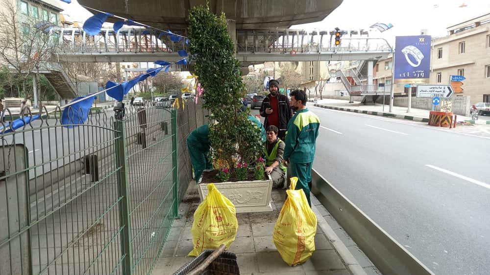 فضای خاکستری زیر پل شهید آیت الله صدر در منطقه یک، سبز  شد