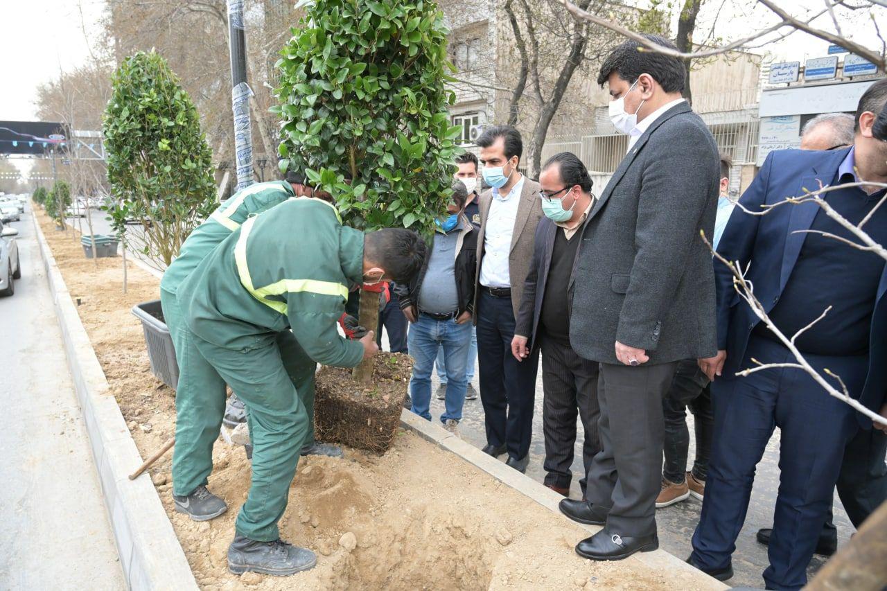 تکمیل رفیوژ سبز شریعتی در ایام نوروز ۱۴۰۰