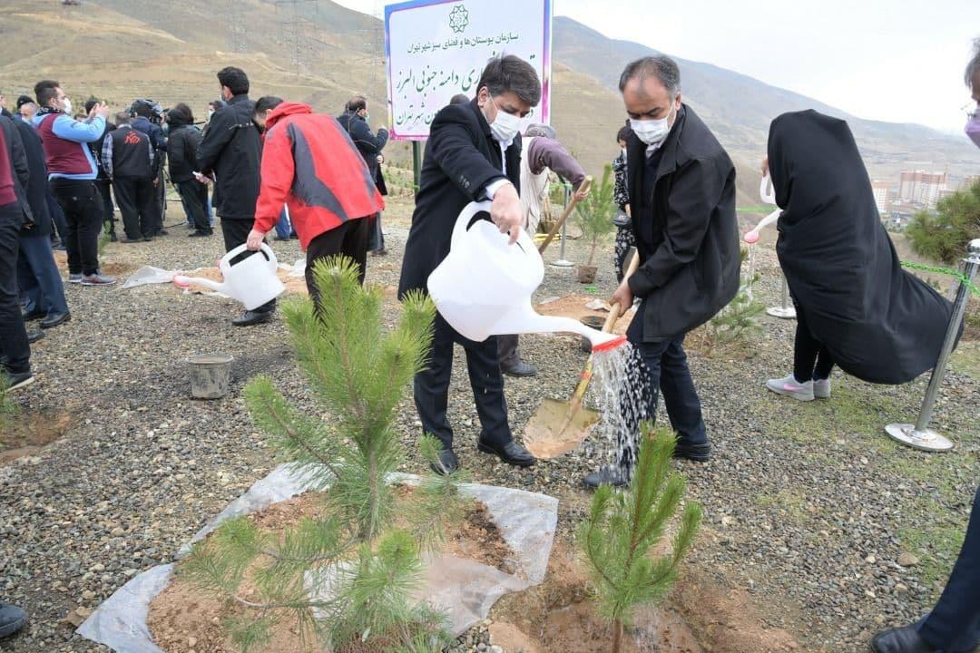 ۱۸۰ هکتار از اراضی منابع طبیعی تحویل منطقه یک شد