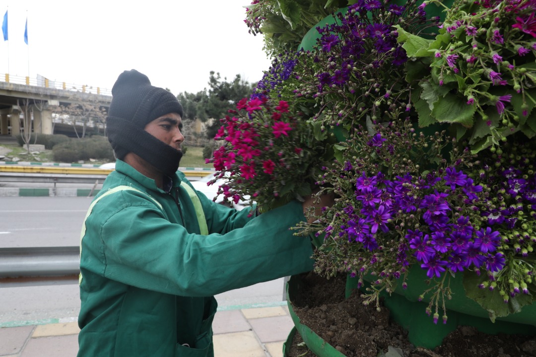میادین و معابر منطقه2 با نصب گلدان‌های شهری آراسته شد