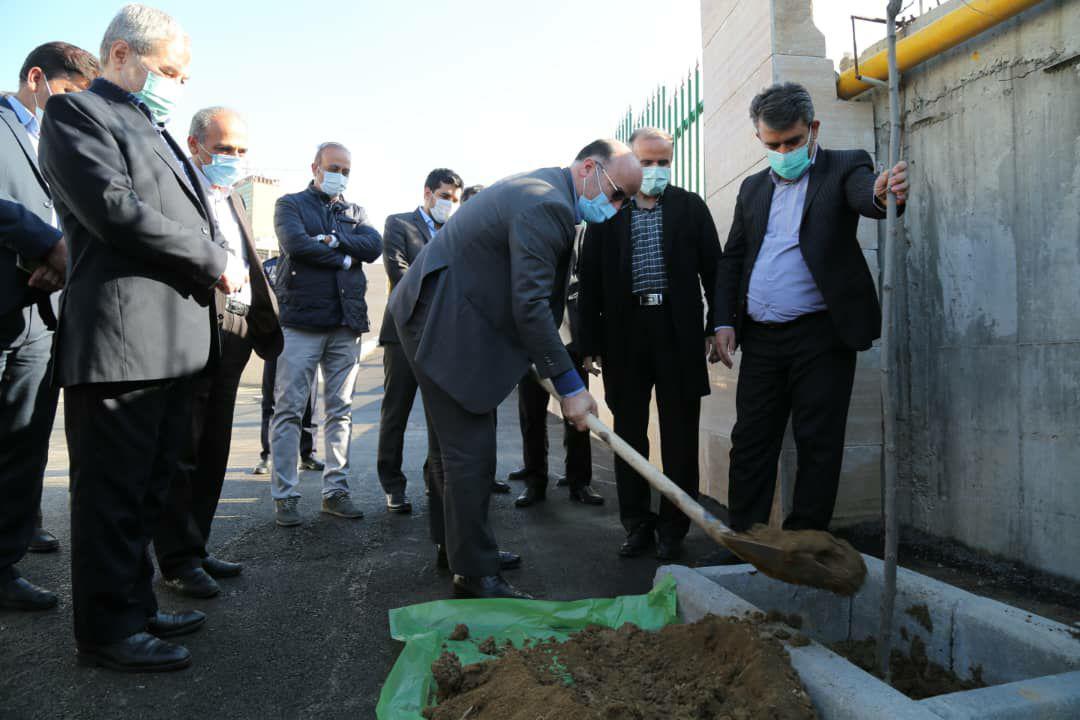 پیام شهردار منطقه ۶ به مناسبت روز درختکاری