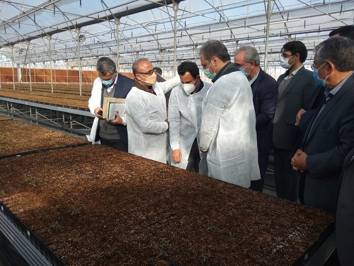 رفع تداخلات ۵۰۰ هزار هکتار از اراضی به نفع کشاورزان