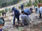 کاشت ۲۵۰ نهال مثمر با مشارکت شهروندان فعال منطقه۱۴ تهران