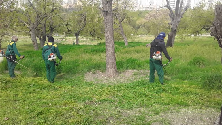 احداث آتش بر در باغات و بوستان‌های منطقه۲