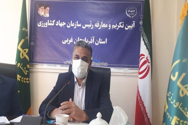 افزایش تقاضای مرغ در کشور