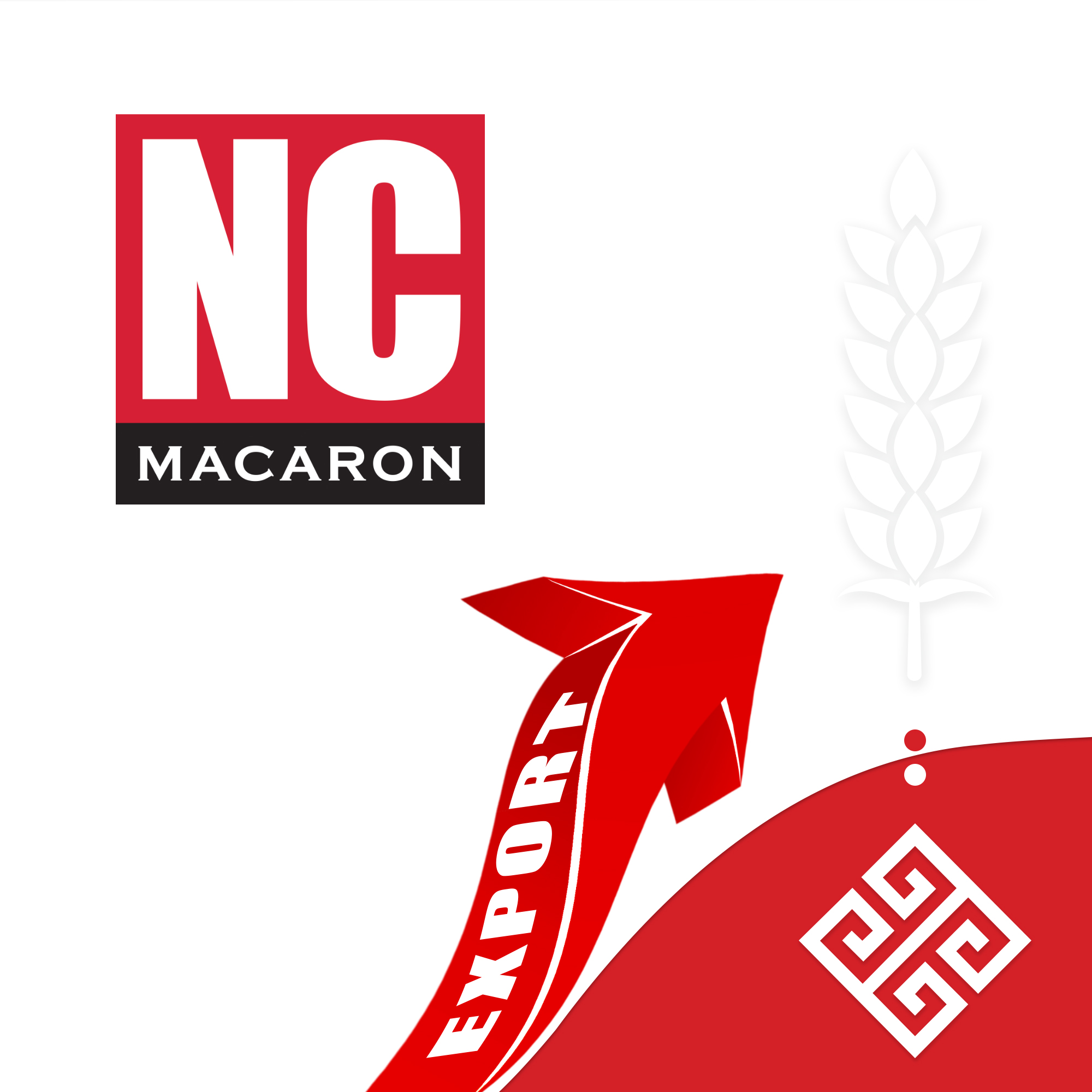 ارز آوری ۷ میلیون یورویی انسی ماکارون در سال 1399