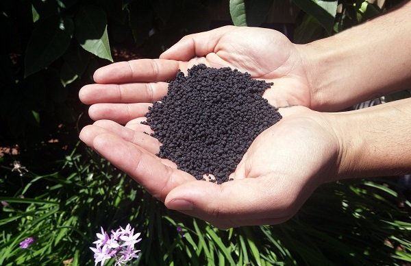 افزایش قیمت نهاده کشاورزی عاملی برای ورود کودهای تقلبی به بازار