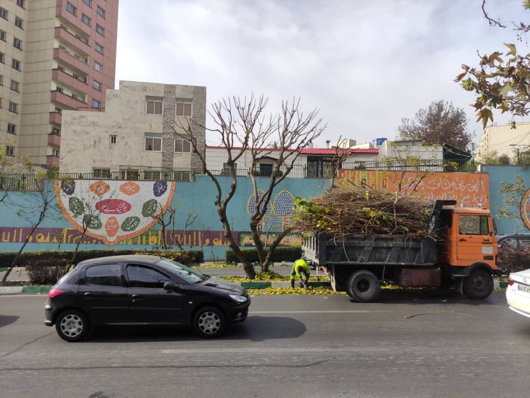 درختان شمال تهران آماده فصل زمستان شدند