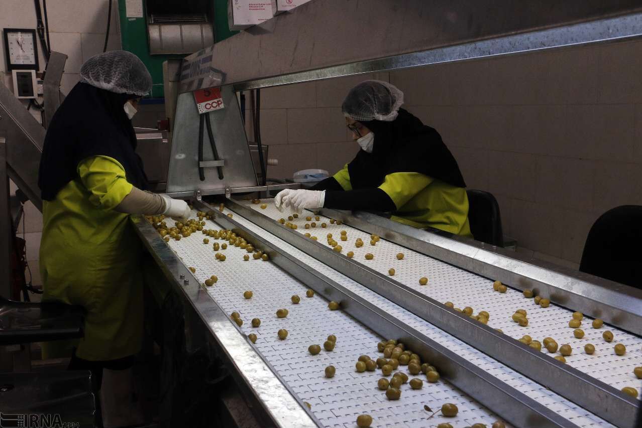 تخصیص تسهیلات ۵۰ میلیارد تومانی برای احداث پساب کارخانه‌های روغن‌کشی