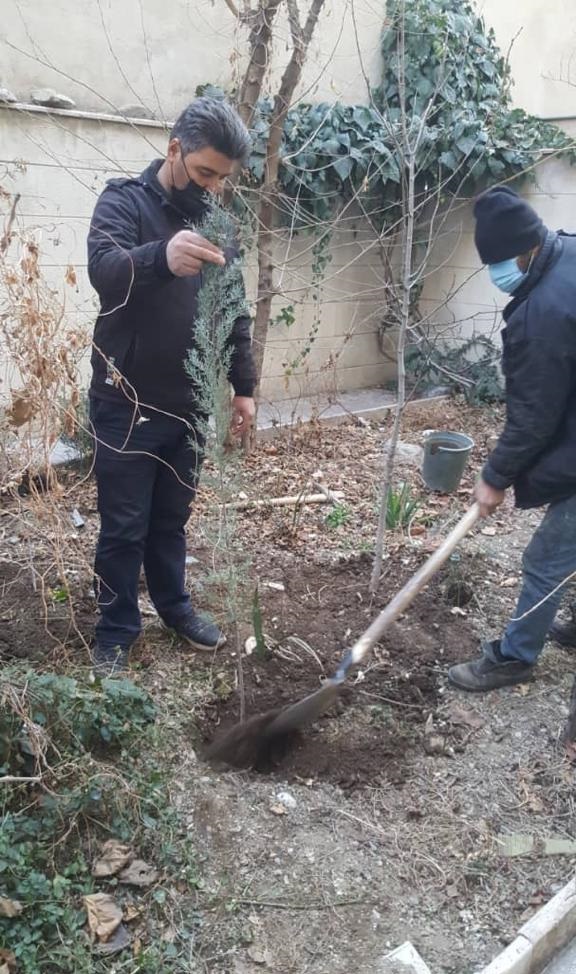 2 هزار نهال در خانه‌ها و معابر شهری منطقه یک غرس شد