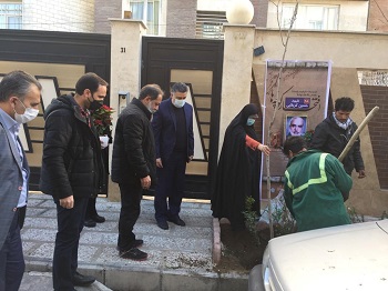 اجرای نهضت درختکاری در منطقه 2 با کاشت 8700 نهال