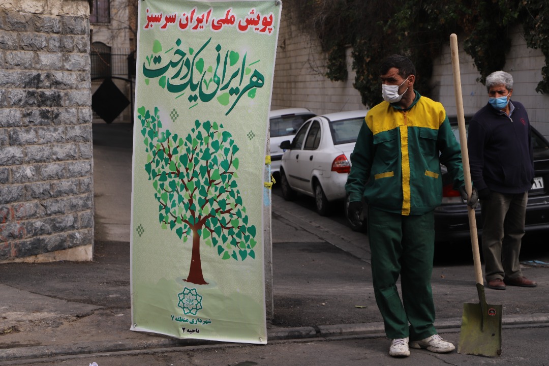 غرس بیش از 4هزار اصله نهال در منطقه 7