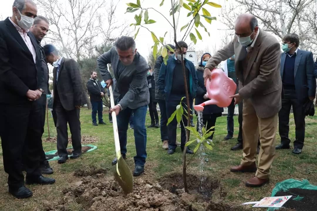 کاشت نهال دوستی به یاد شهدای دانش آموز در منطقه2