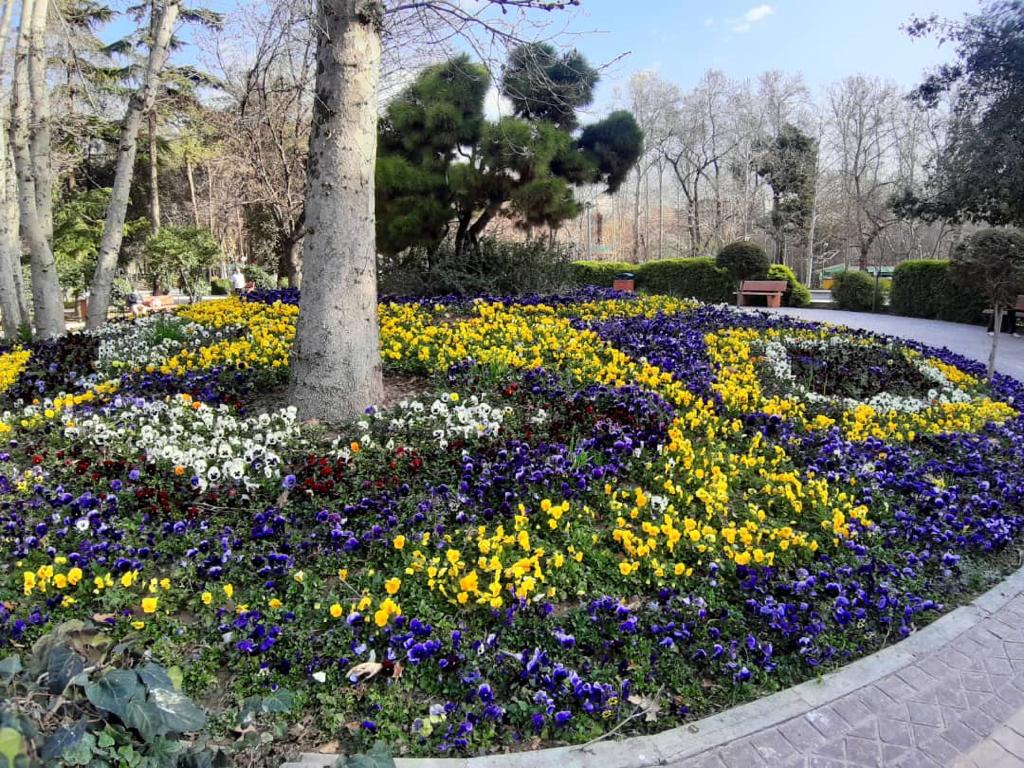 کوچه تکانی شهری با بسیج همگانی نیروهای شهرداری منطقه یک