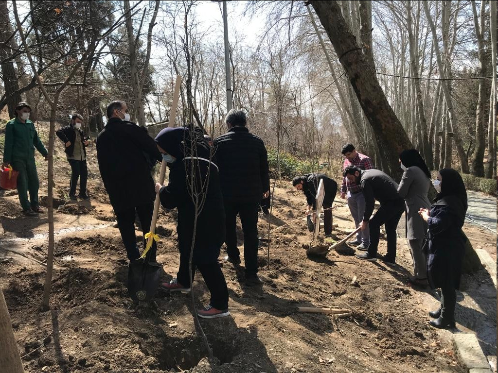 محلات شمال تهران به مناسبت هفته درختکاری