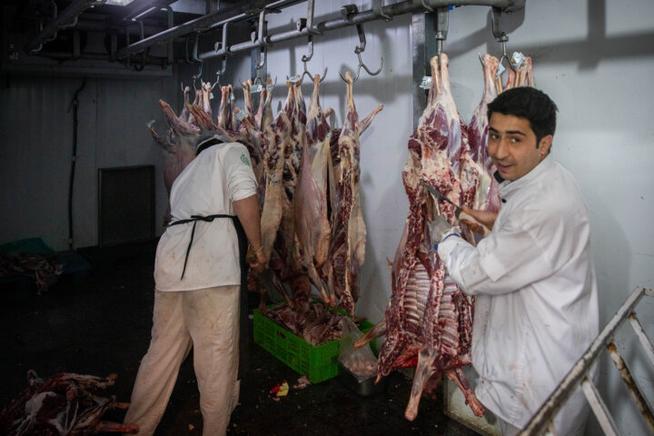 عرضه گوشت با قیمت مصوب به بازار