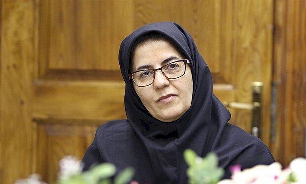 صدور رایگان روادید برای جام جهانی قطر در انتظار تصویب هیات وزیران