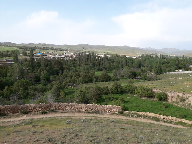 شناسایی ۷۰۰ شرکت دانش‌بنیان در بخش منابع طبیعی