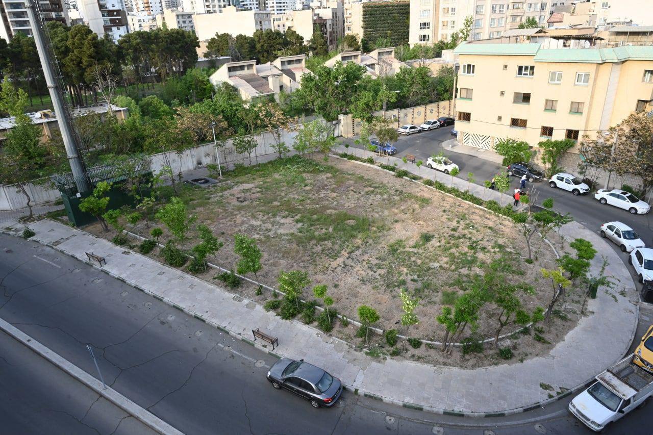 نهال‌های پارکینگ عمومی چیذر به بوستان قیطریه منتقل شد