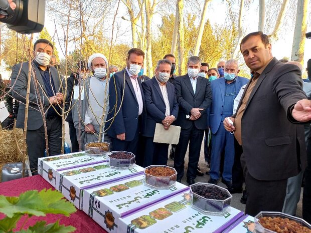 اختصاص ۲۷ هزار میلیارد ریال برای توسعه کشاورزی خراسان رضوی