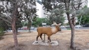 جانمایی مجسمه حیوانات در حال انقراض در خیابان لبخند