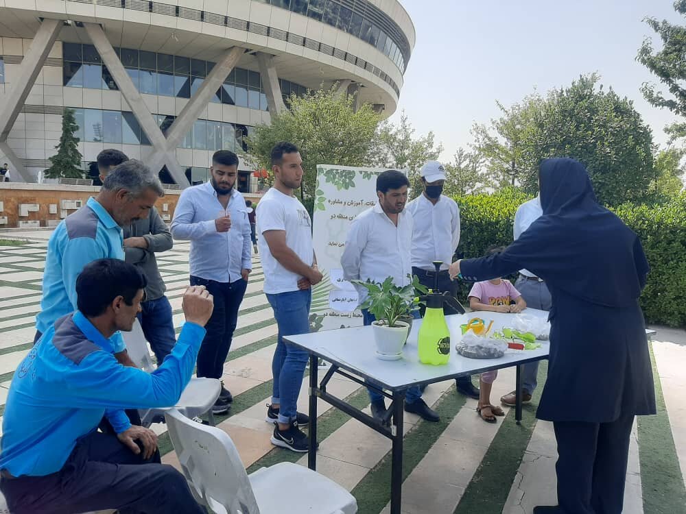 آموزش شیوه‌های پرورش و نگهداری گیاه زیر سایه برج مبلاد